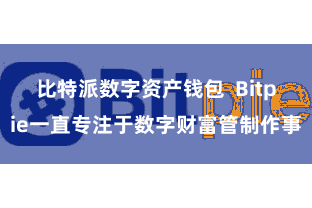 比特派数字资产钱包 Bitpie一直专注于数字财富管制作事