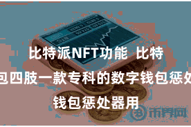 比特派NFT功能 比特派钱包四肢一款专科的数字钱包惩处器用
