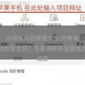 比特派钱包教程大全 比特派钱包安全吗？专家详解其全面优势