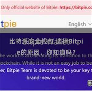 比特派安全钱包 选择Bitpie的原因，你知道吗？