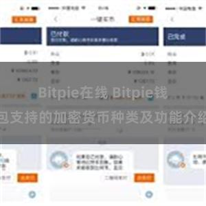 Bitpie在线 Bitpie钱包支持的加密货币种类及功能介绍