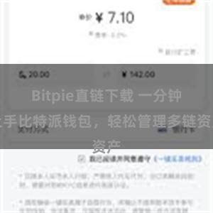 Bitpie直链下载 一分钟上手比特派钱包，轻松管理多链资产