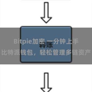 Bitpie加密 一分钟上手比特派钱包，轻松管理多链资产