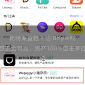 比特派直链下载 Bitpie钱包安全可靠，资产100%自主掌控