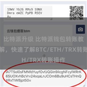 比特派升级 比特派钱包转账教程详解，快速了解BTC/ETH/TRX转账操作