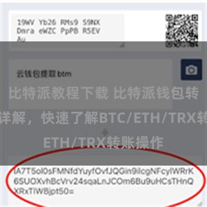 比特派教程下载 比特派钱包转账教程详解，快速了解BTC/ETH/TRX转账操作