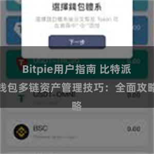 Bitpie用户指南 比特派钱包多链资产管理技巧：全面攻略