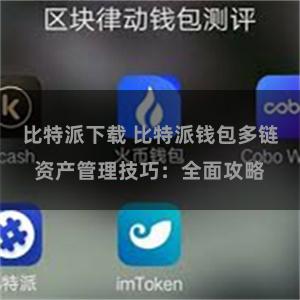 比特派下载 比特派钱包多链资产管理技巧：全面攻略