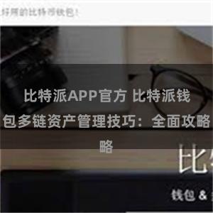 比特派APP官方 比特派钱包多链资产管理技巧：全面攻略