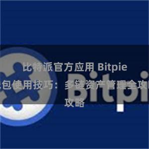 比特派官方应用 Bitpie钱包使用技巧：多链资产管理全攻略