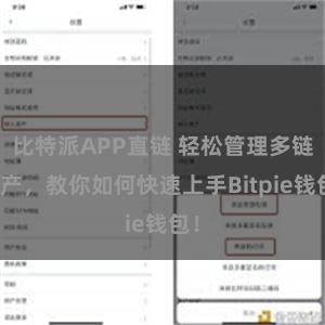 比特派APP直链 轻松管理多链资产，教你如何快速上手Bitpie钱包！