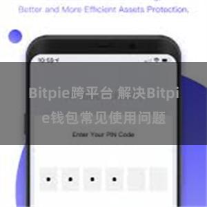 Bitpie跨平台 解决Bitpie钱包常见使用问题