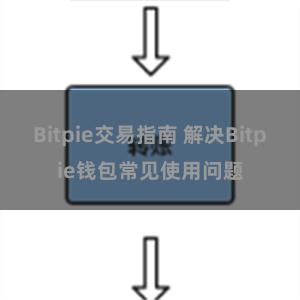 Bitpie交易指南 解决Bitpie钱包常见使用问题