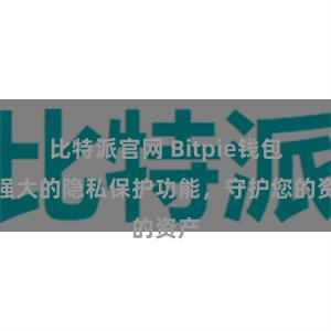 比特派官网 Bitpie钱包：强大的隐私保护功能，守护您的资产