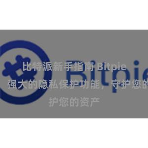 比特派新手指南 Bitpie钱包：强大的隐私保护功能，守护您的资产