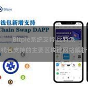 Bitpie系统支持 比特派钱包支持的主要区块链网络解析