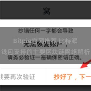 Bitpie官网推荐 比特派钱包支持的主要区块链网络解析