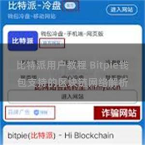 比特派用户教程 Bitpie钱包支持的区块链网络解析