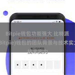 Bitpie钱包功能强大 比特派(Bitpie)钱包的团队背景与技术实力