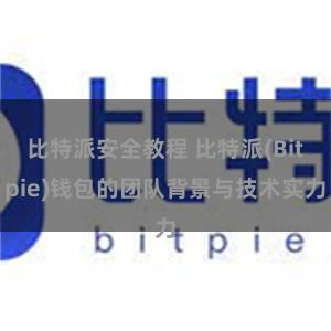 比特派安全教程 比特派(Bitpie)钱包的团队背景与技术实力