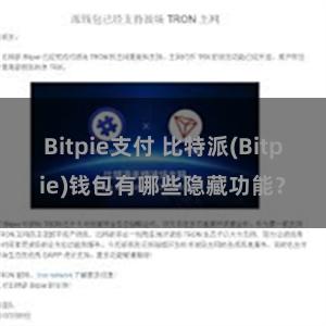 Bitpie支付 比特派(Bitpie)钱包有哪些隐藏功能？