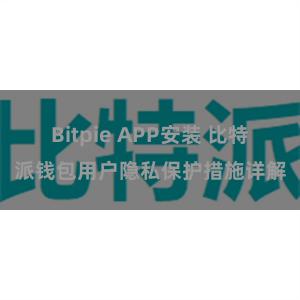 Bitpie APP安装 比特派钱包用户隐私保护措施详解