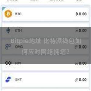 Bitpie地址 比特派钱包如何应对网络拥堵？