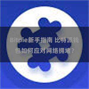 Bitpie新手指南 比特派钱包如何应对网络拥堵？