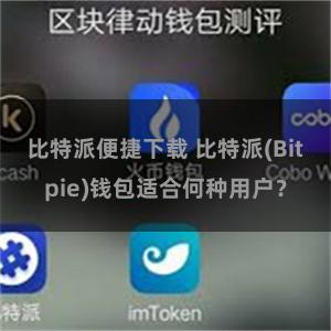 比特派便捷下载 比特派(Bitpie)钱包适合何种用户？