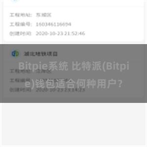 Bitpie系统 比特派(Bitpie)钱包适合何种用户？