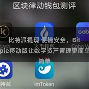 比特派提现 便捷安全，Bitpie移动版让数字资产管理更简单