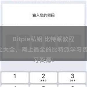 Bitpie私钥 比特派教程地址大全，网上最全的比特派学习资源！