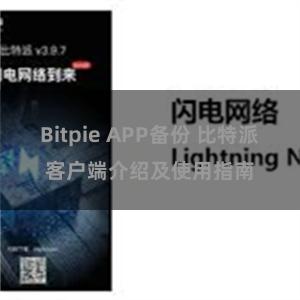 Bitpie APP备份 比特派客户端介绍及使用指南