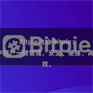 Bitpie地址 Bitpie：数字资产一键管理，安全、便捷、高效。