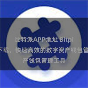 比特派APP地址 Bitpie直链下载，快速高效的数字资产钱包管理工具