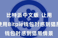 比特派中文版  让用户在使用Bitpie钱包时感到猖厥情景