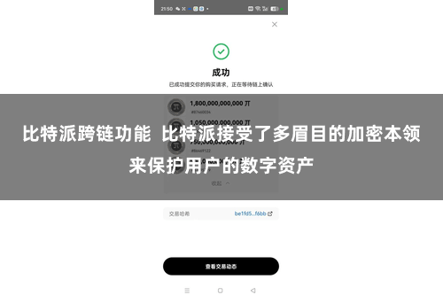 比特派跨链功能  比特派接受了多眉目的加密本领来保护用户的数字资产